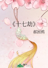 《十七劫》
