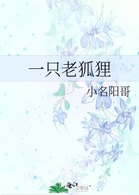 《一只老狐狸》