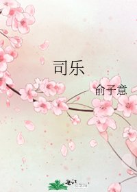 司乐