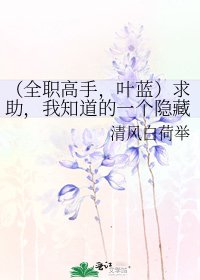 《(全职高手,叶蓝)求助,我知道的一个隐藏身份的太太居然是我男朋友怎么破?在线等急。》