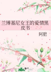 《兰博基尼女王的爱情黑皮书》