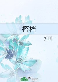 《搭档》