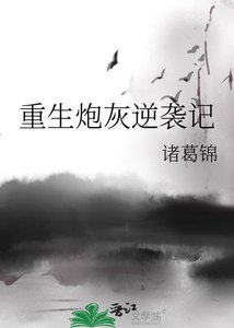 《重生炮灰逆袭记》