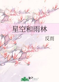 《星空和雨林》