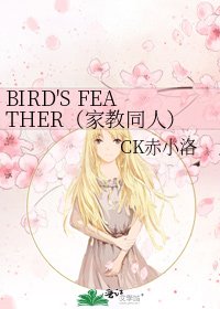 《BIRD'S FEATHER(家教同人)》