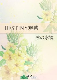 《DESTINY观感》