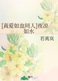 [真爱如血同人]夜凉如水