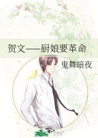 《贺文——厨娘要革命》