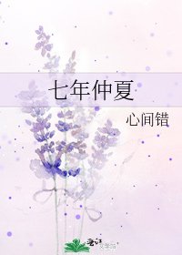 《七年仲夏》