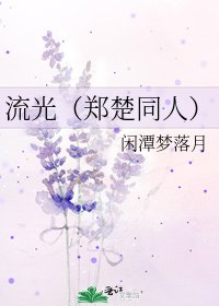 《流光(郑楚同人)》