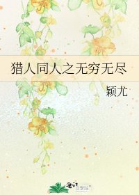 《猎人同人之无穷无尽》