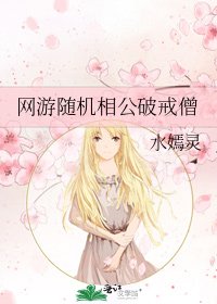 《网游随机相公破戒僧》