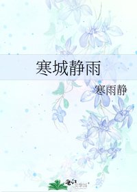 《寒城静雨》