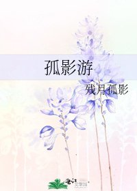 《孤影游》