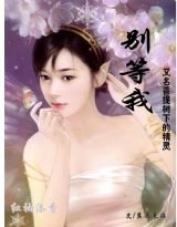 《别等我(菩提树下的精灵)》