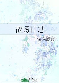 《散场日记》