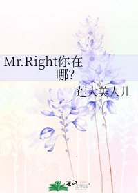 《Mr.Right你在哪?》