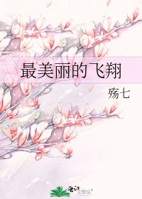 《最美丽的飞翔》