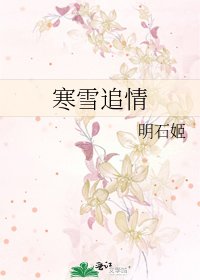 《寒雪追情》