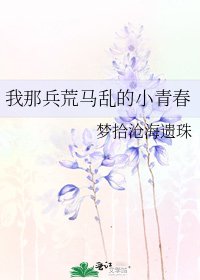 《我那兵荒马乱的小青春》