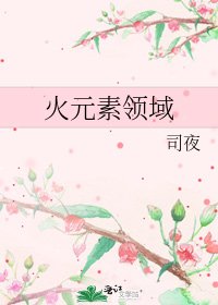 《火元素领域》