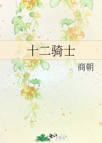 《十二骑士》