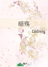 《暗殇》