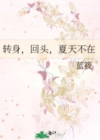 《转身,回头,夏天不在》