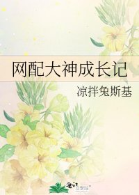 《网配大神成长记》