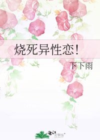 《烧死异性恋!》