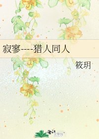 《寂寥----猎人同人》