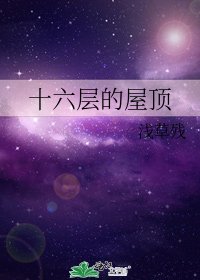 《十六层的屋顶》