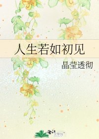 《人生若如初见》