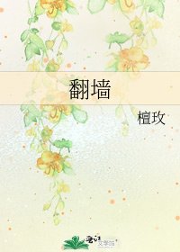 《翻墙》