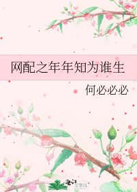 《网配之年年知为谁生》