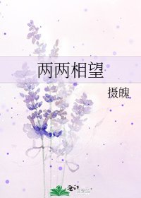 《两两相望》