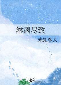 《淋漓尽致》