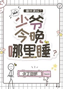 《少爷今晚哪里睡》