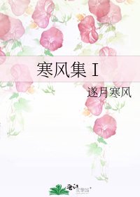 《寒风集Ⅰ》