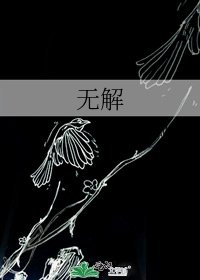 《无解》
