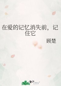 《在爱的记忆消失前,记住它》