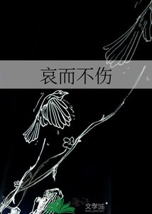 《哀而不伤》