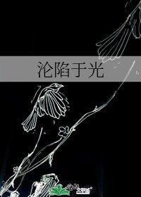 《沦陷于光》