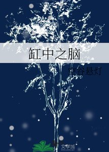 《缸中之脑》