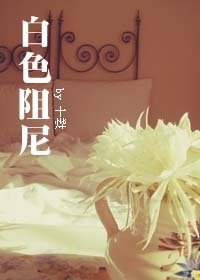 白色阻尼