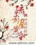《疏影月黄昏》